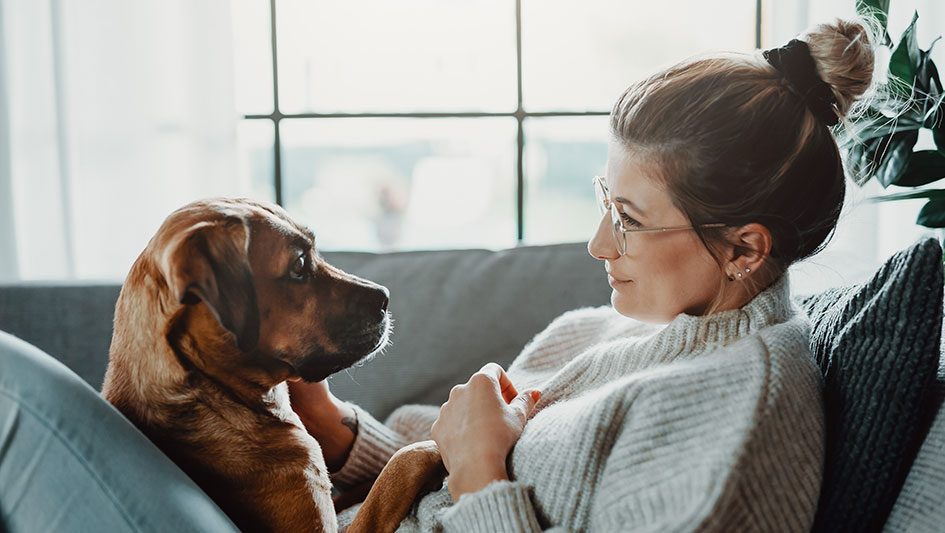 Is an Air Purifier a Waste of Money?